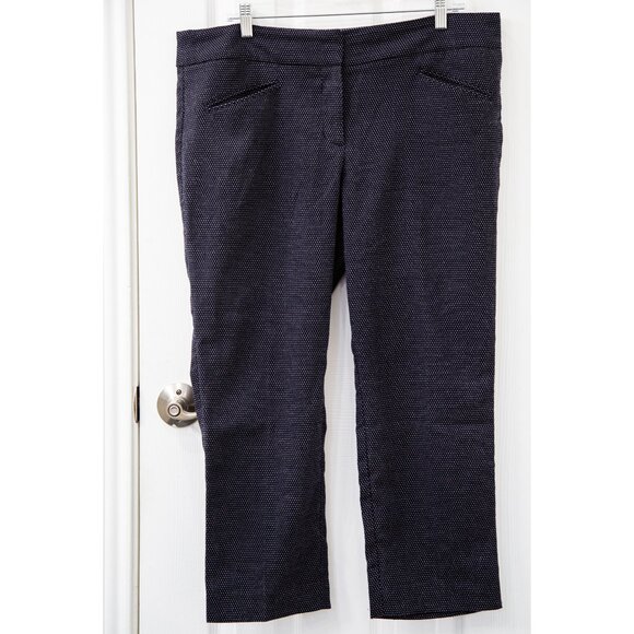Ann Taylor Navy Pindot Slacks, size 14P - Picture 2 of 7